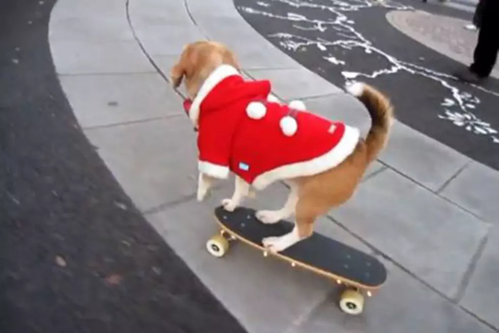 Skateboarding Santa Dog Is Here to Save Christmas