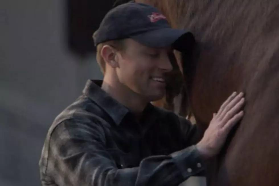 Budweiser’s 2013 Super Bowl Commercial Tugs at the Heartstrings With Clydesdales