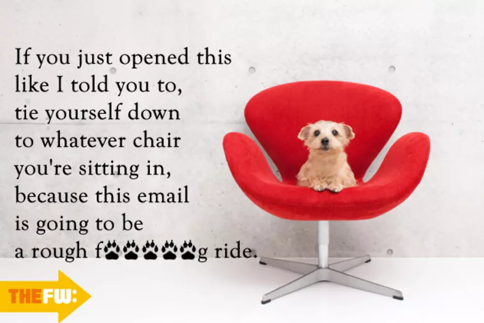 See the Crazed Sorority Email as Interpreted by Adorable Animals