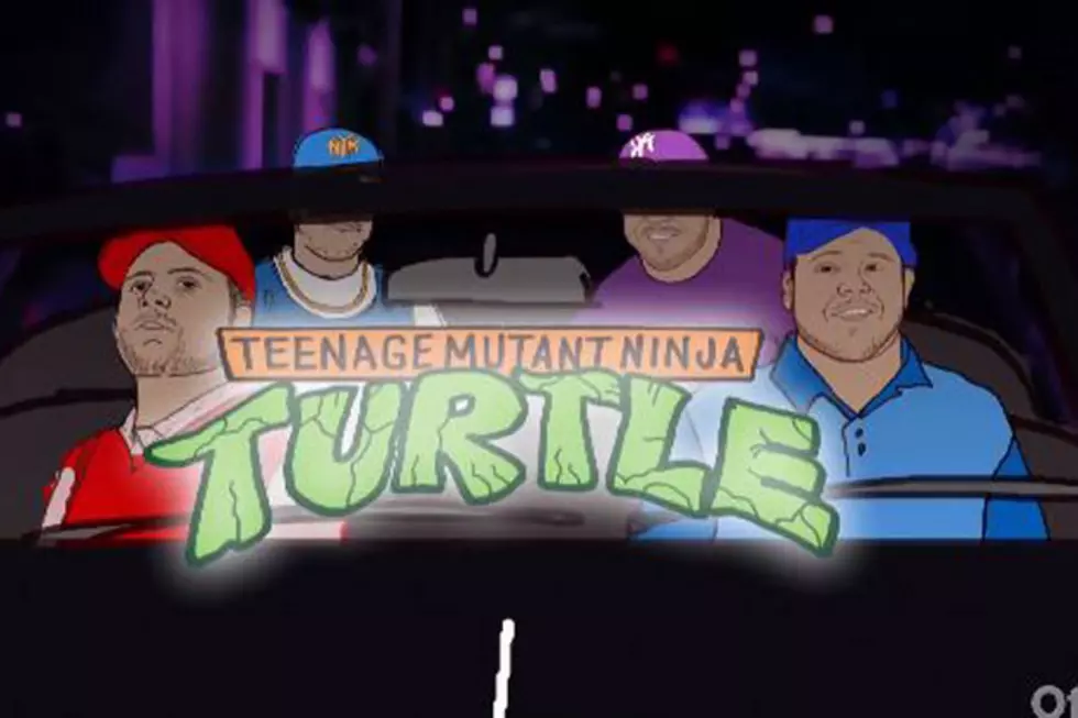 Teenage Mutant Ninja Turtles Gets the ‘Entourage’ Treatment