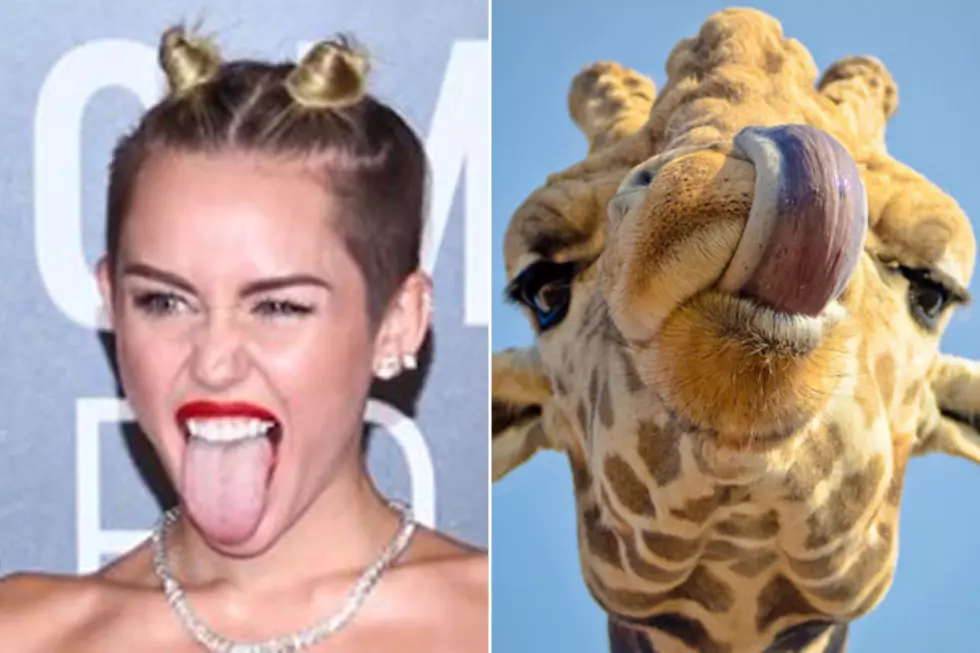 Miley Cyrus Looked Just Like a Giraffe at the MTV VMAs