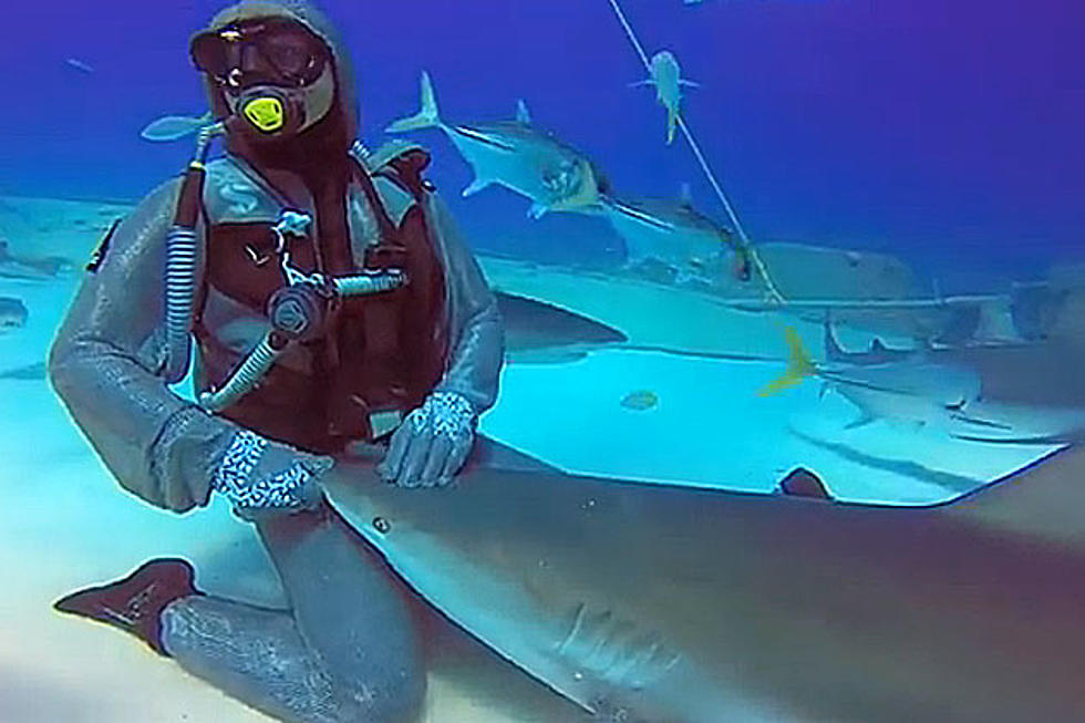 Woman Pets Shark During Amazing Underwater Dive
