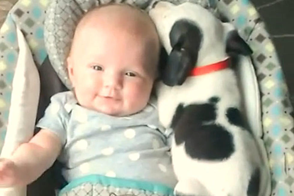 Baby and Puppy Cuddling Together Redefines Adorable