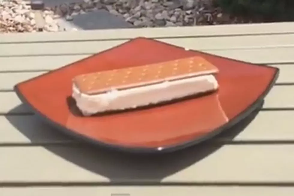 Why Won’t This Walmart Ice Cream Sandwich Melt?