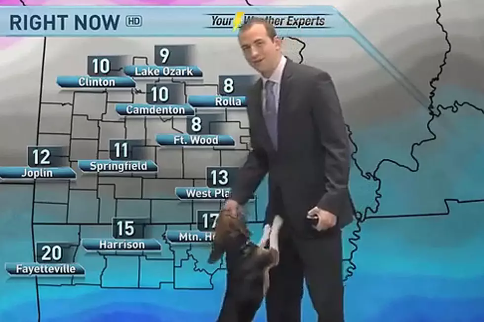 February 2015 News Bloopers Will Melt Your Winter Blues Away