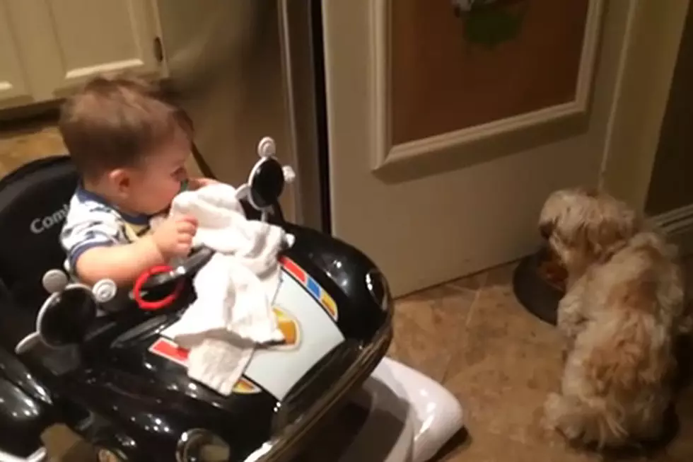 Baby Laughing at Dog Eating Is Why the Internet Was Invented