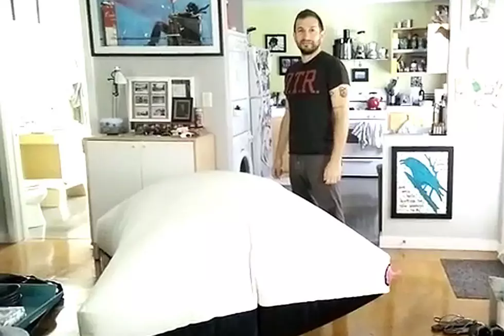 World’s Largest Whoopee Cushion Doesn’t Excite Cat One Iota