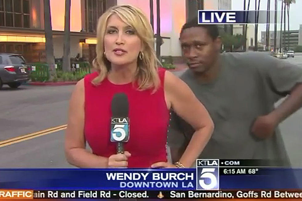 Watch Videobomber Scare the Holy Heck Out of Reporter on Live TV