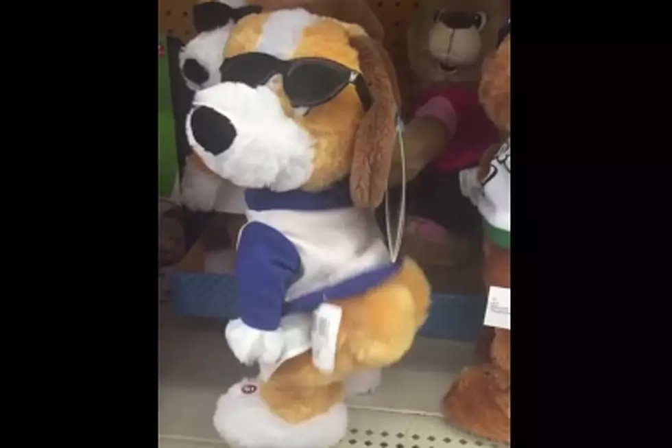 Twerking Toy Dog Is Not Something You Expect to See