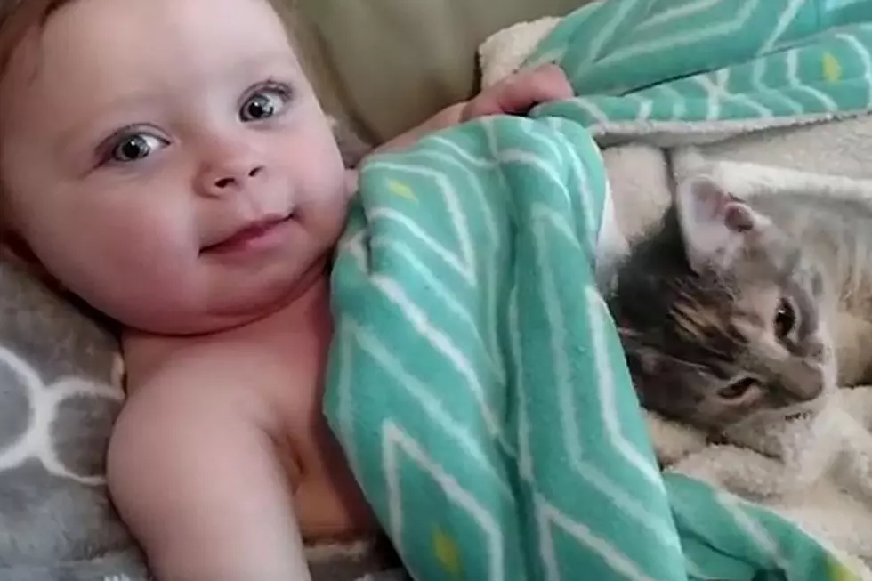 Baby and Cat Waking Up Is the Cutest Thing Ever (By Far)