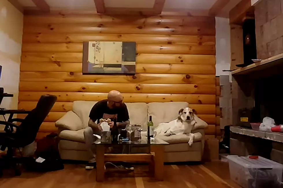 Dog Likes Watching Owner Eat (But Dislikes Owner Watching Him)