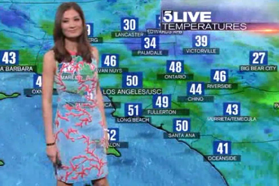 Meteorologist Suffers Quirky See-Through Wardrobe Malfunction