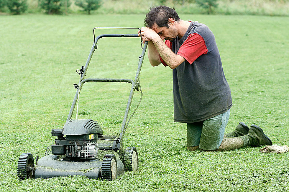 How’s It Growing: Too Hot To Mow? Let It Go!