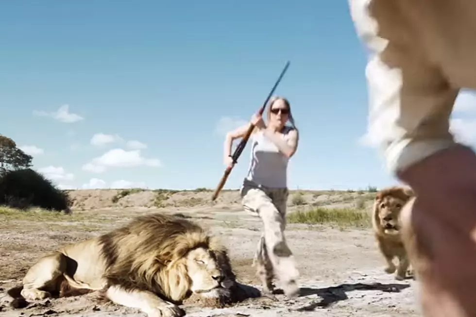 Lion Hunter Gets the Scariest Unwelcome Surprise of Her Life