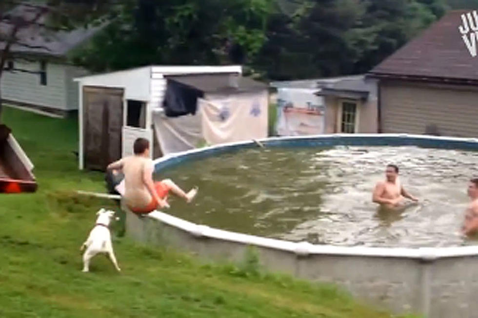 Spectacular Summer Fails Will Have You Laughing All the Way to Autumn