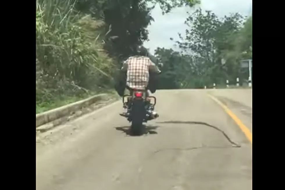 Motorcyclist Deftly Avoids Snake Looking to Hitch a Ride