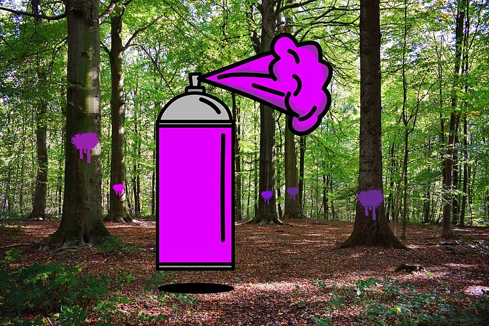 See Purple Paint in the Woods? Turn Around Immediately