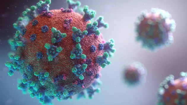 Michigan Reports Highest Daily Number Of Coronavirus Cases Ever