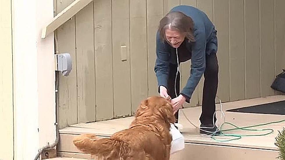 TMSG: Dog Finds Help For Elderly Owner After Fall