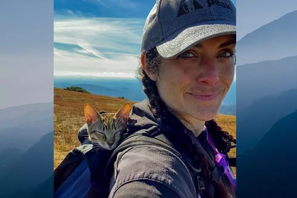 Woman Hikes Mountain With Cat on Her Back and They Both Couldn’t Look Happier