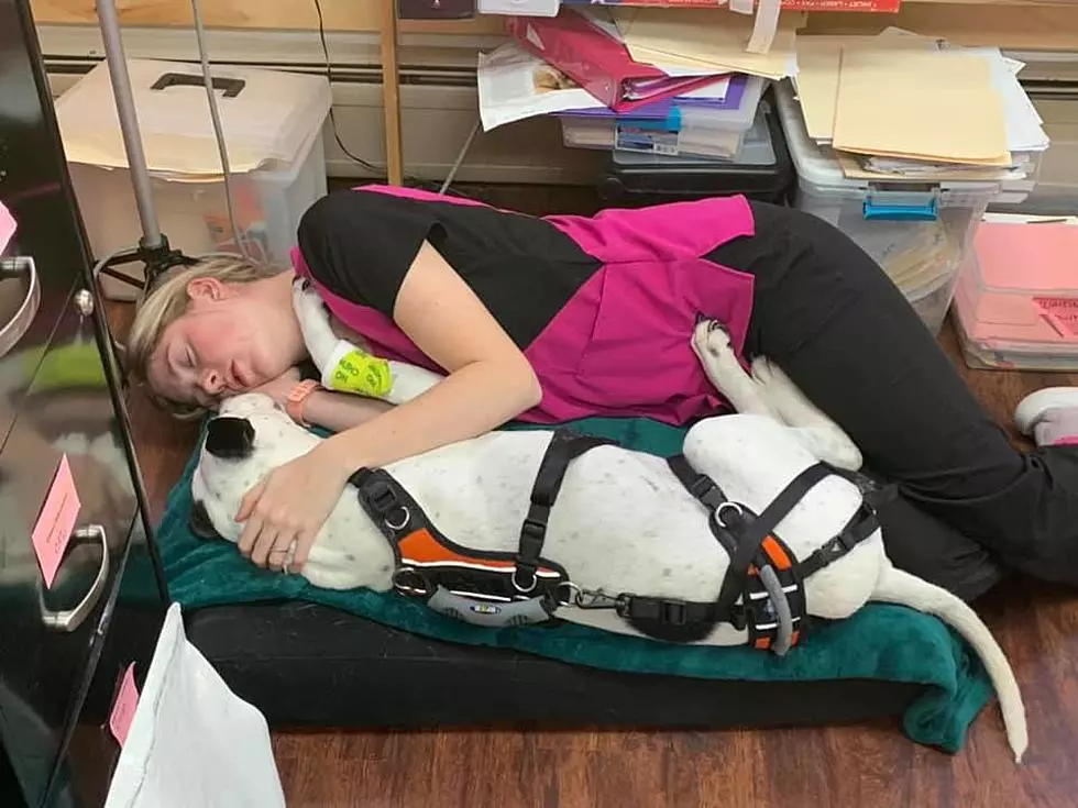 Powerful Photo Captures Vet Tech Napping With Cancer-Stricken Dog