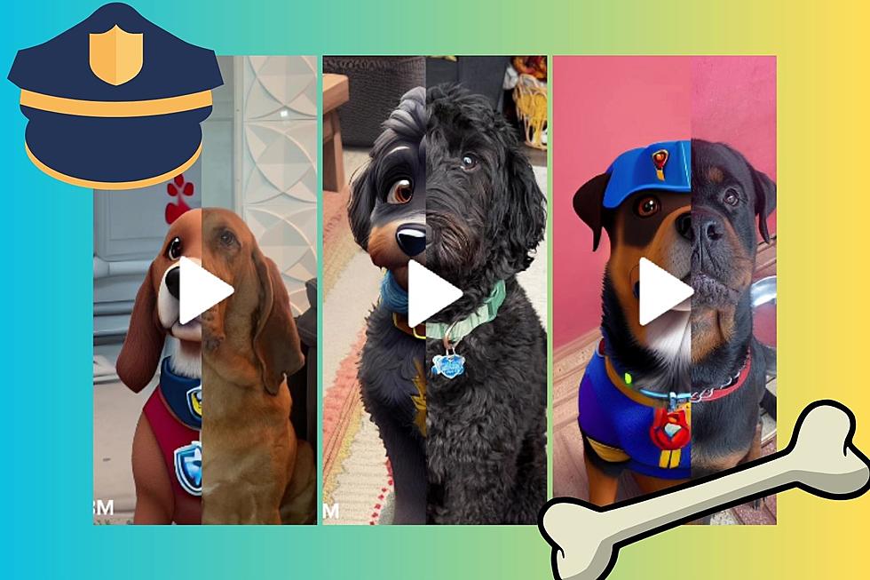 Pet Owners Are Turning Their Dogs Into Adorable PAW Patrol Characters