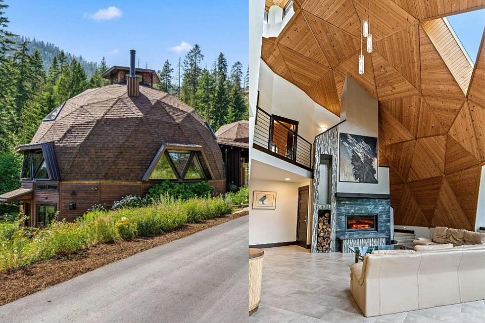 Unique Idaho Dome Home Sits Next to a National Forest [PHOTOS]