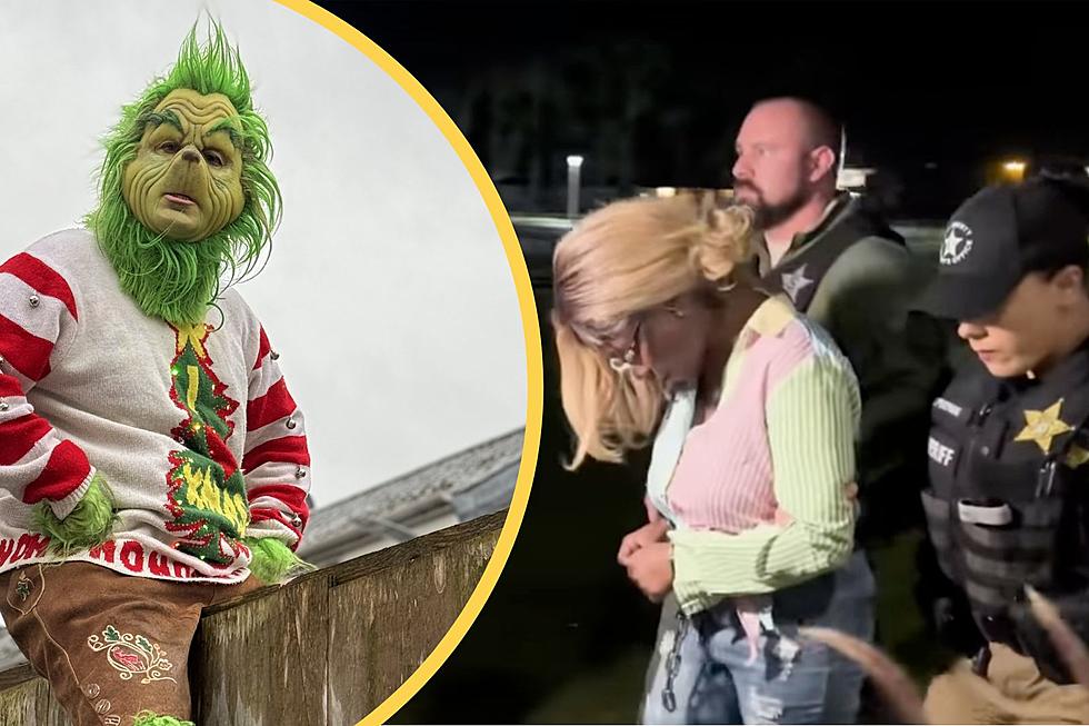 Police Create Stir After Using Grinch Costume to Arrest Woman