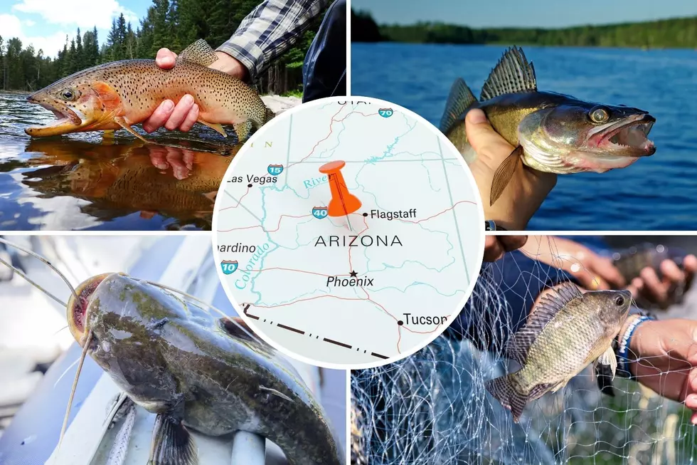 Record fish caught in Arizona