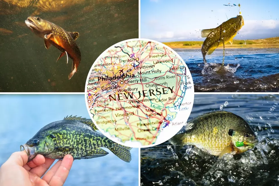 Record fish caught in New Jersey