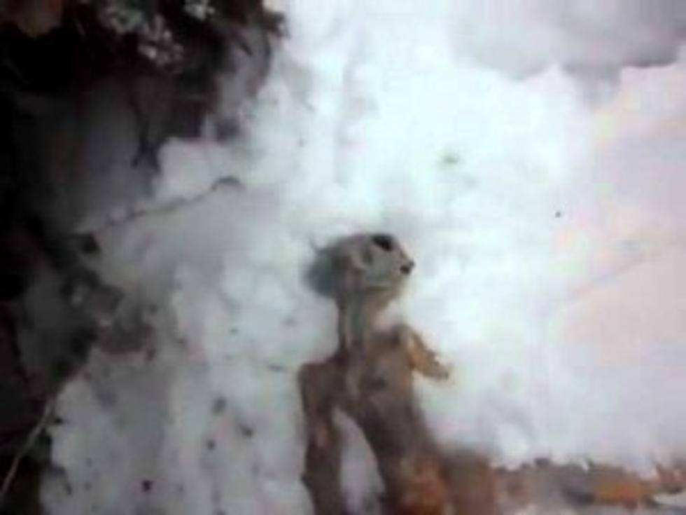 Dead Alien Found In Russia[Video]