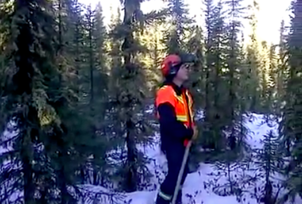 Creepy Unexplained ‘Hell Noises’ Captured In Canadian Forest [Video]