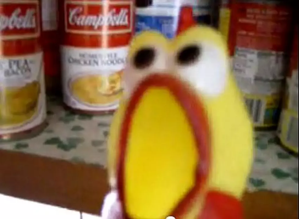 This Chicken Is Shocked At What You Have In Your Pantry [Video]