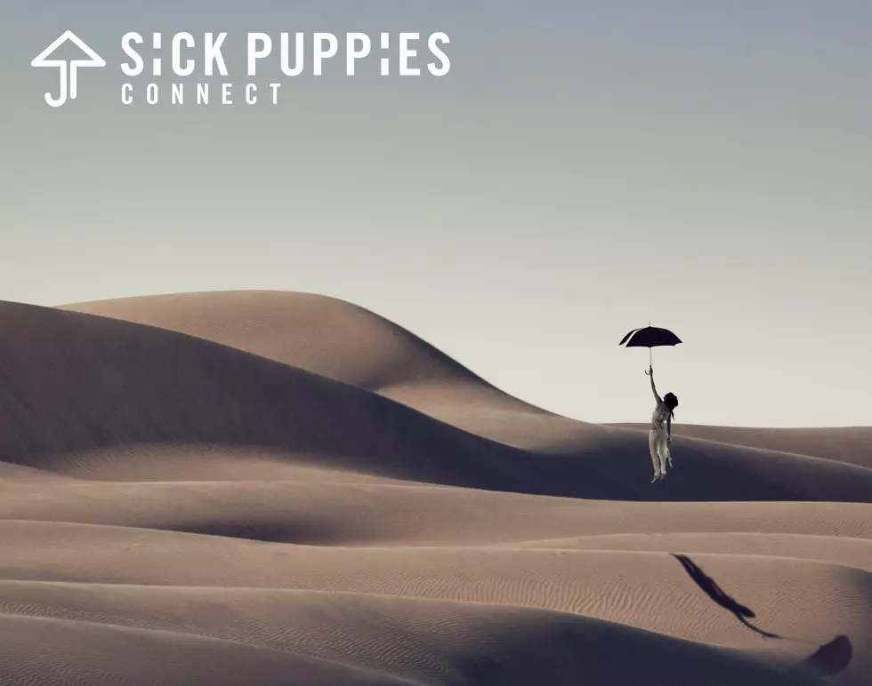 [UPDATE] Listen To The New Sick Puppies Song &#8216;There&#8217;s No Going Back&#8217; Here [Audio]