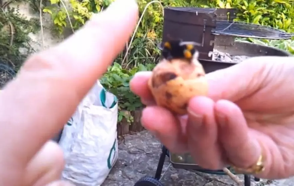 Drunk Guy Gets A High Five From A Bumblebee [Video]