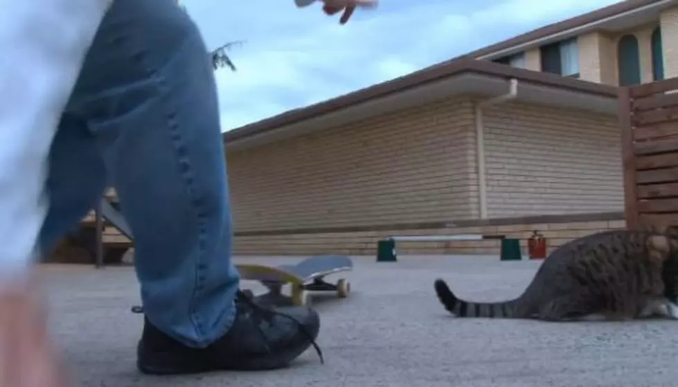 Skateboard Jump Fail Has An Unexpected Twist To It [Video]