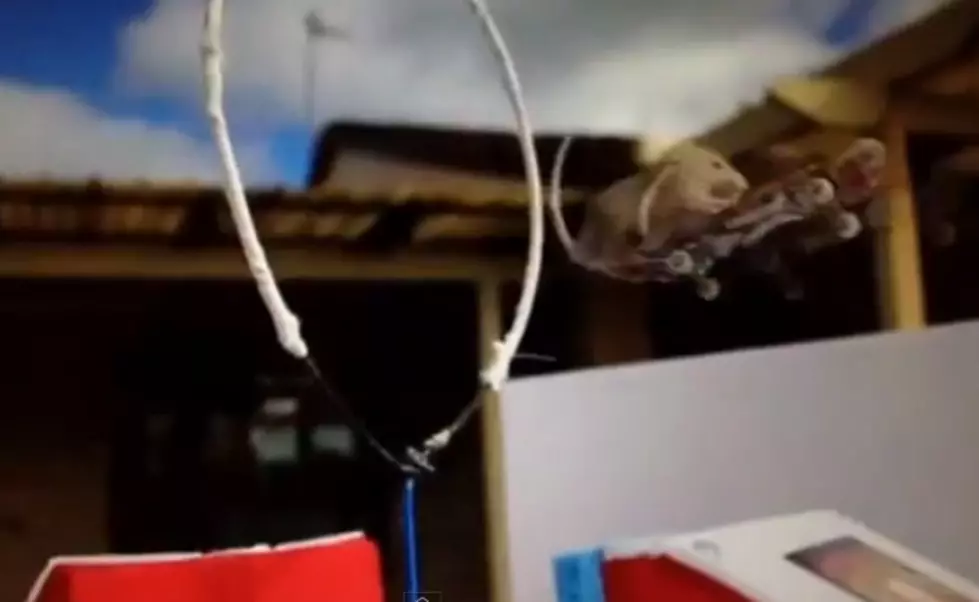 Mouse On A Tiny Skateboard Jumps Through A Ring Of Fire [Video]