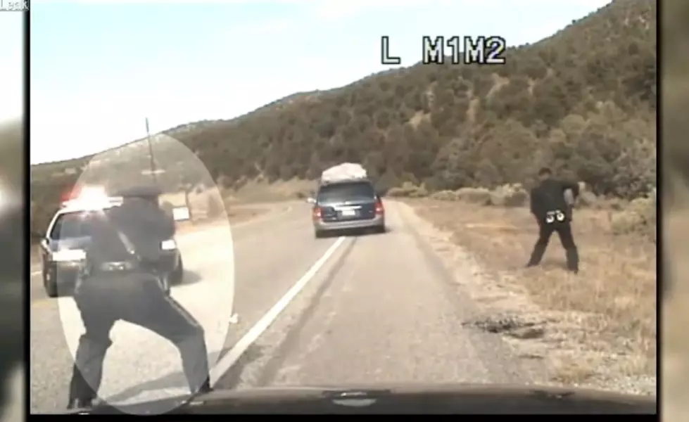 Police Officers Fire Shots At Mini-Van Filled With Kids During Traffic Stop [Video]