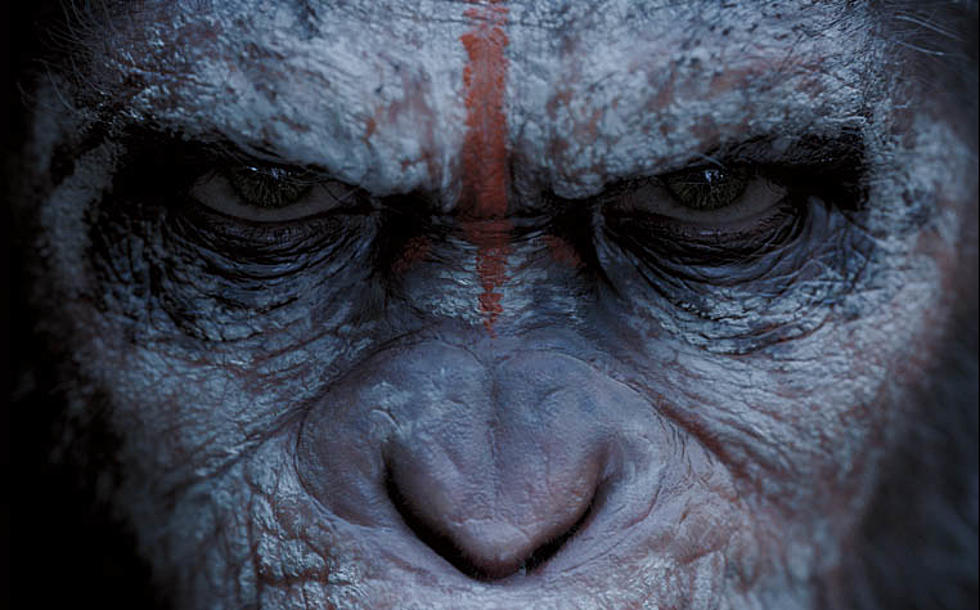 Pre-Teaser Trailer For ‘Dawn Of The Planet Of The Apes’ [Video]