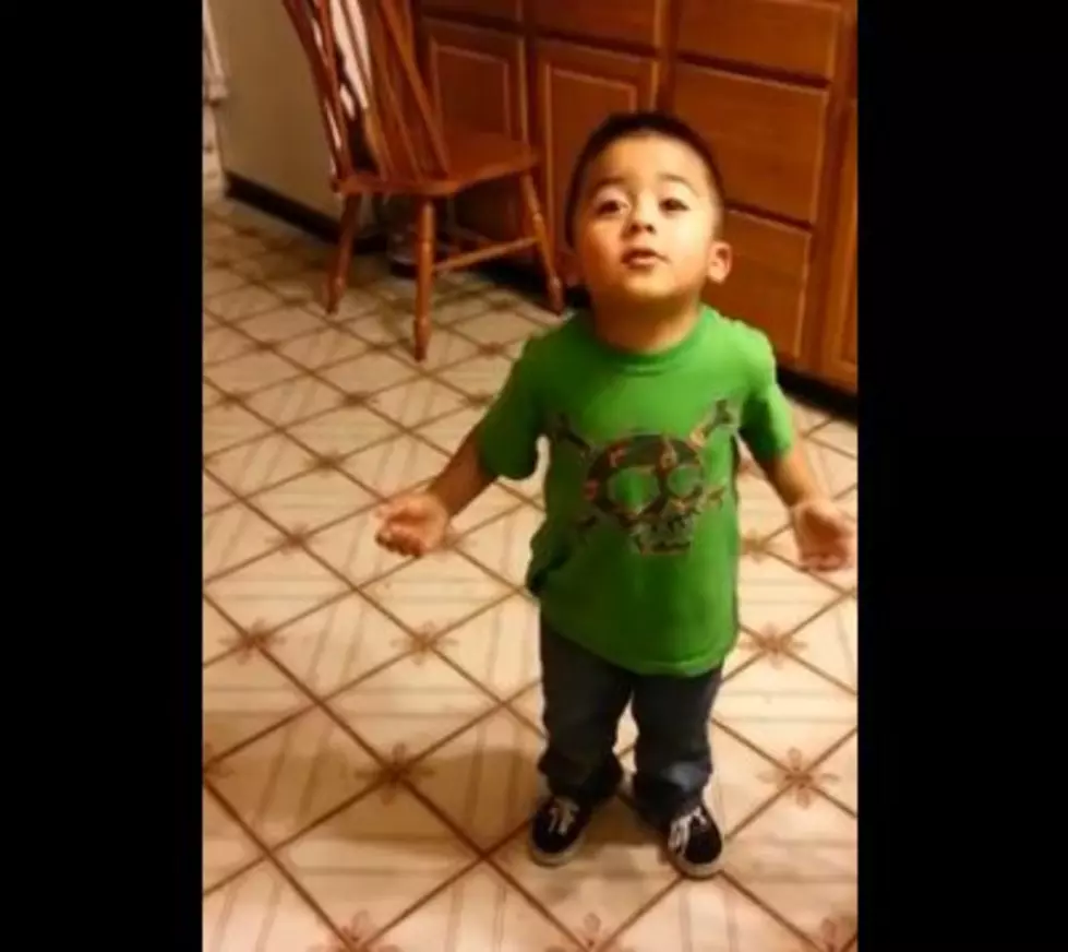 Hilarious Three-Year-Old Kid Debates With His Mother Over Cupcakes [VIDEO]