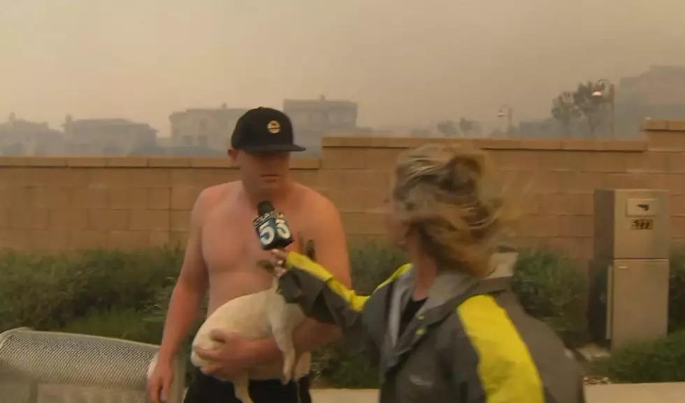 Shirtless Man Asks News Reporter Out And Gets Denied On Live Television [Video]