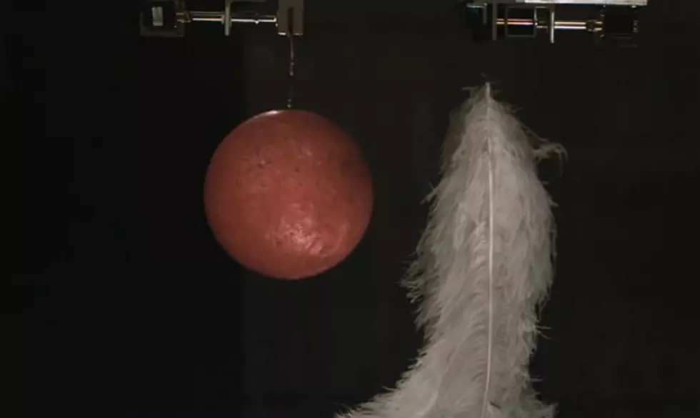 Will A Feather And A Bowling Ball REALLY Fall At The Exact Same Rate? [Video]