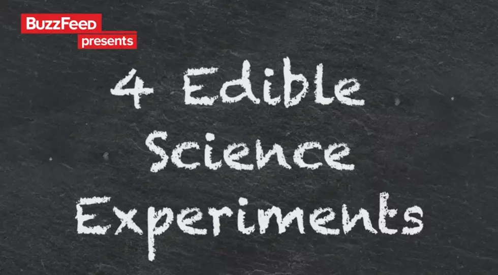 4 Edible Science Experiments [Video]