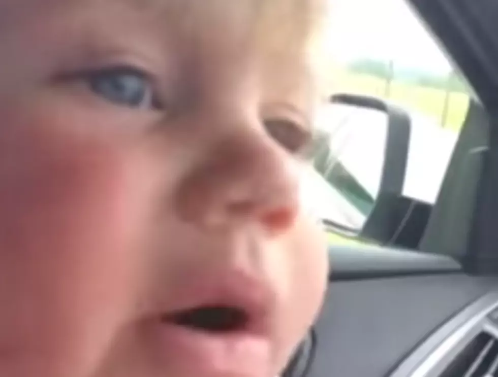 2-Year-Old Boy Tells Off A Monkey That Is On His Car [NSFW Video]