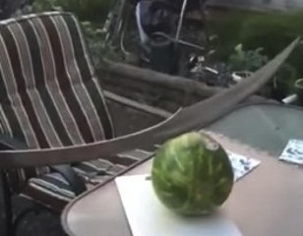 Guy Tries To Cut Watermelon With Sword. Tries. [Video]