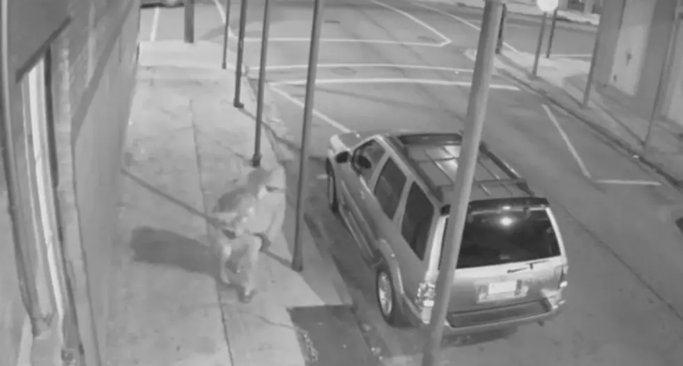 Tulane Medical Student Survives Mugging In New Orleans After Saving A Woman [Video]