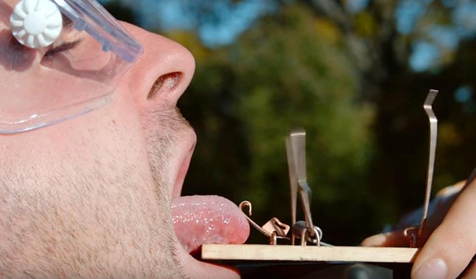 Slo Mo Guys Put Tongue In Mouse Trap, Regreths It [Watch]