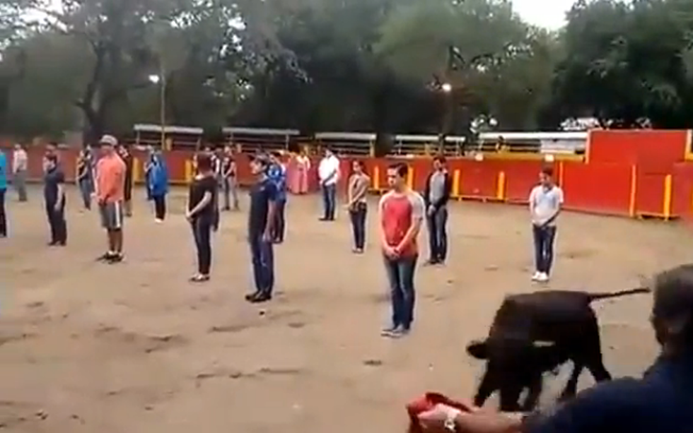 Experiment Shows People Standing Still With A Bull Running [Video]