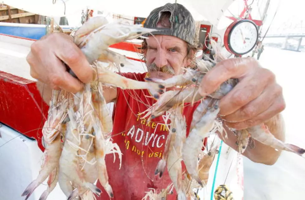 LA Shrimp & Petroleum Festival Cancels for 2020