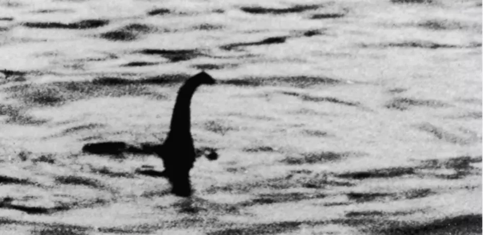 Something Is Swimming In Loch Ness [Video]